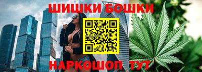 прущие грибы Кохма
