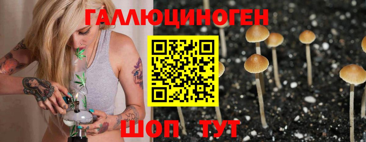 Семилуки  Псилоцибиновые грибы Psilocybine cubensis  Вход с VPN 